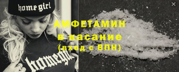прущие грибы Магадан