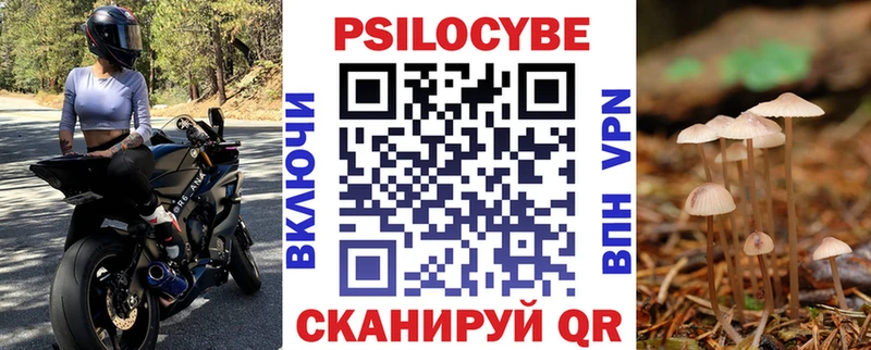 мориарти наркотические препараты  Яровое  Псилоцибиновые грибы прущие грибы 